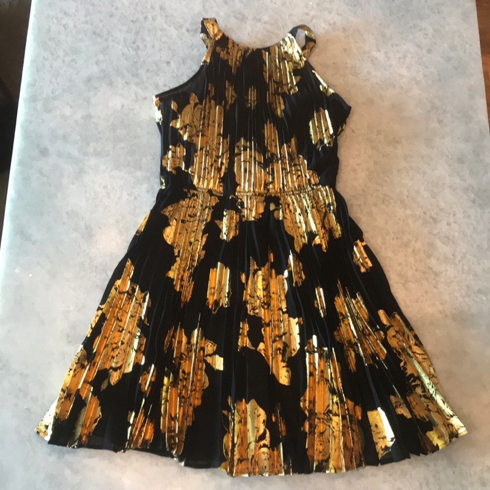 Want and Need Pleated Sheer Black Dress with Gold
